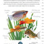 Community Fish