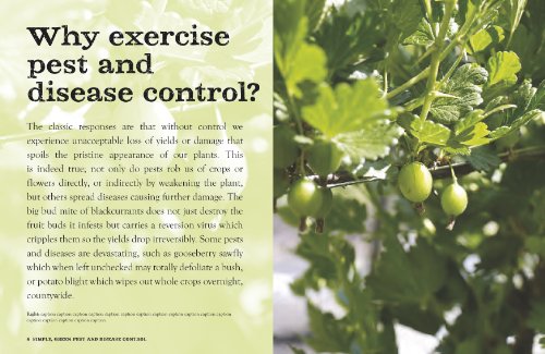 Bob's Basics Pest-Disease Control