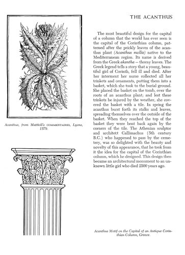 Folklore and Symbolism of Flowers, Plants and Trees: with over 200 Rare and Unusual Floral Designs and Illustrations (Dover Pictorial Archive)