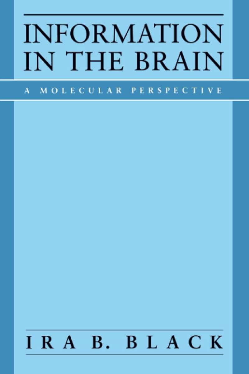 Information in the Brain
