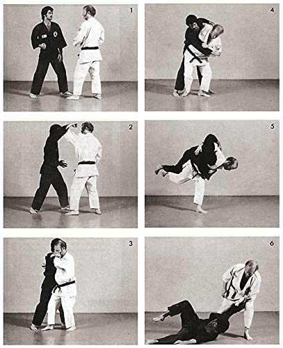 Jujitsu: Basic Techniques of the Gentle Art