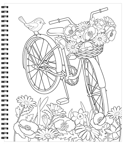 Large Print Easy Color & Frame - Garden (Stress Free Coloring Book)