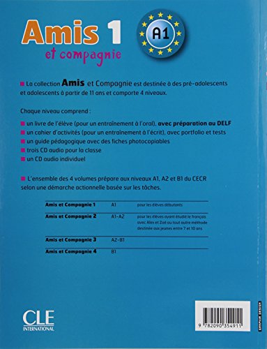 Amis et compagnie 1 cahier d'activites - de francais
