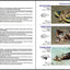 Reef Fish Identification - Florida Caribbean Bahamas - 4th Edition (Reef Set)