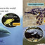 Worlds Deadliest Creatures: Band 04 Blue/Band 14 Ruby (Collins Big Cat Progress)