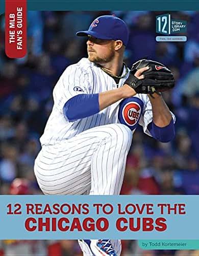 12 Reasons to Love the Chicago Cubs (The Mlb Fan's Guide)