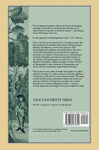 The Ambonese Curiosity Cabinet