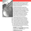 Theorizing Transition: The Political Economy of Post-Communist Transformations