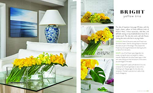 Just Add Water: Easy Techniques and Everyday Ideas for Inspiring Flower Arrangements