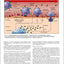 WebMD Scientific American