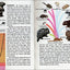 Mammals: A Fully Illustrated, Authoritative and Easy-to-Use Guide (A Golden Guide from St. Martin's Press)