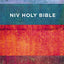 NIV, Value Outreach Bible, Paperback