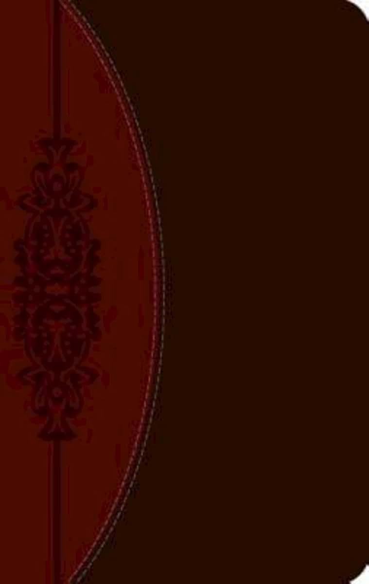 The CEB Wesley Study Bible