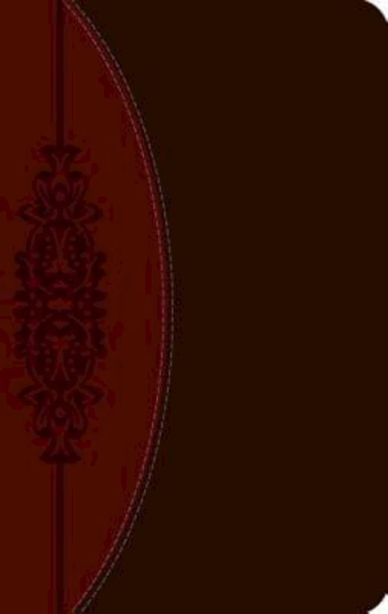 The CEB Wesley Study Bible