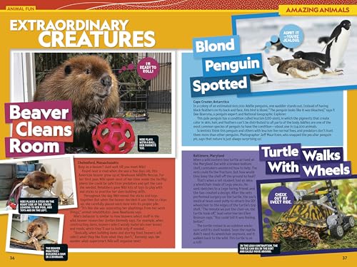 National Geographic Kids Almanac 2027 (NGK Almanac)