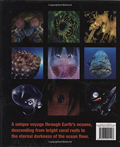 Into the Deep: Exploring the Planet's Oceans — back cover