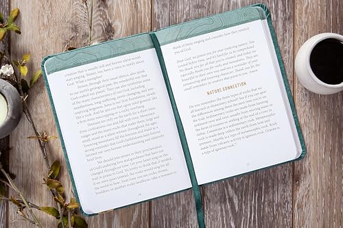 Strength for My Path: 52 Devotions from the Hiking Trail - Biblical outdoor reflections and nature facts to accompany you on your next hike