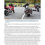 Why We Ride: A Psychologist Explains the Motorcyclist's Mind