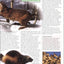 Animal: The Definitive Visual Guide to the World's Wildlife