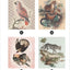 Brain Games - Sticker by Number - Vintage: Animals (28 Images to Sticker)