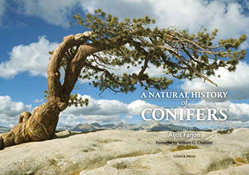 A Natural History of Conifers