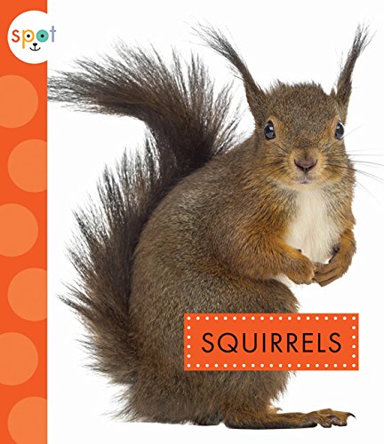 Squirrels (Spot)