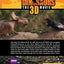 Walking with Dinosaurs Handbook by Glass, Calliope