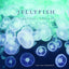 Jellyfish: A Natural History