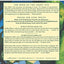 In Green's Jungles (Book of the Short Sun, Book 2) (Book of the Short Sun, 2)
