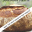 Make Your Own Sourdough Starter: Capture and Harness the Wild Yeast