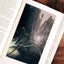 The Two Towers: Being the Second Part of The Lord of the Rings: A Special Collector's Edition of the Epic Masterpiece. A Must-Have for Any Tolkien Reader's Library