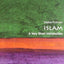 Islam: A Very Short Introduction