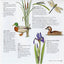 America's Wetlands: Guide to Plants and Animals (America's Ecosystems)