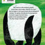 Panda Bear, Panda Bear, What Do You See?