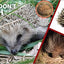 The Fascinating Animal Book for Kids: 500 Wild Facts! (Fasci
