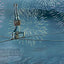 Crossing Niagara: Candlewick Biographies: The Death-Defying Tightrope Adventures of the Great Blondin