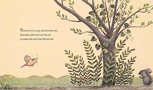 The Nest That Wren Built (Animal Habitats) by Sonenshine, Ra
