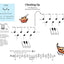 Piano Lessons - Book 1: Piano Learning Book for Kids