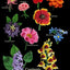 A Passion for Flowers in 3-D Peyote Stitch
