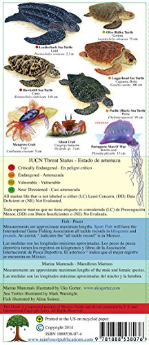 Mexico Pacific Coast Marine Guide (Laminated Foldout Pocket Field Guide) (Costa Rica Field Guides) (English and Spanish Edition)