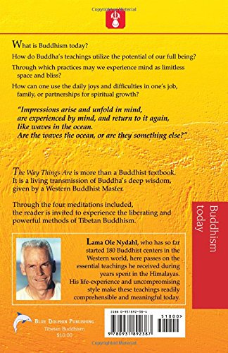 The Way Things Are: A Living Approach to Buddhism for Todays World (Buddhism Today)