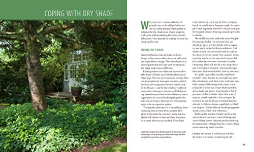 Planting the Dry Shade Garden: The Best Plants for the Toughest Spot in Your Garden