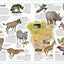 The Animal Atlas: A Pictorial Guide to the World's Wildlife (DK Pictorial Atlases)