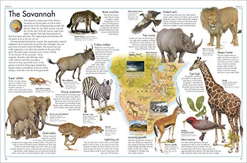 The Animal Atlas: A Pictorial Guide to the World's Wildlife (DK Pictorial Atlases)