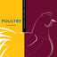 The Kitchen Pro Series: Guide to Poultry Identification, Fabrication and Utilization