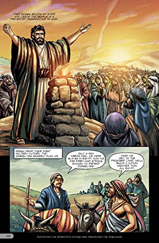 The Action Bible: God's Redemptive Story by Cariello, Sergio