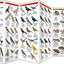 Illinois Wildlife: A Folding Pocket Guide to Familiar Animals (Wildlife and Nature Identification)