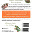 Frogs and Toads (A Golden Guide from St. Martin's Press)