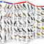 San Francisco Birds: A Folding Pocket Guide to Familiar Bay Area Species (Wildlife and Nature Identification)