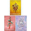 This Woven Kingdom, This Woven Kingdom & All This Twisted Glory By Mafi Tahereh 3 Books Collection Set